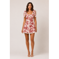 Romantic Toile Mini Φόρεμα